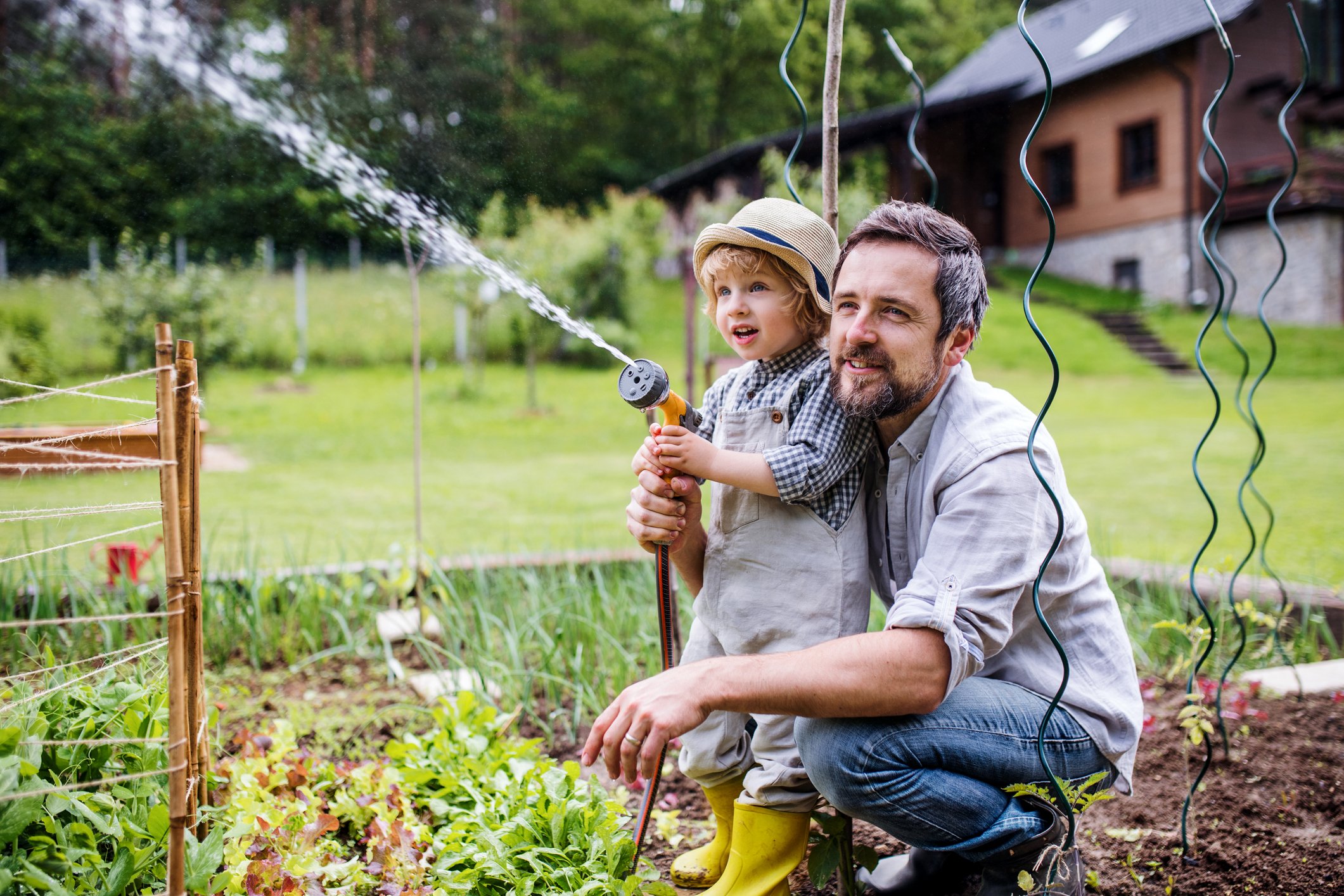 The Best Home Insurance in Minnesota