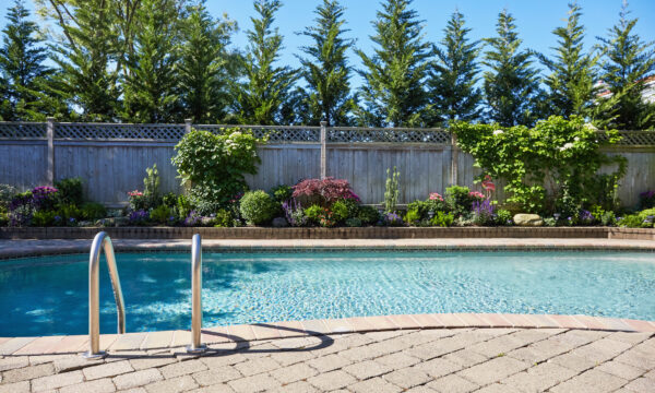 Summer, Backyard, Nature