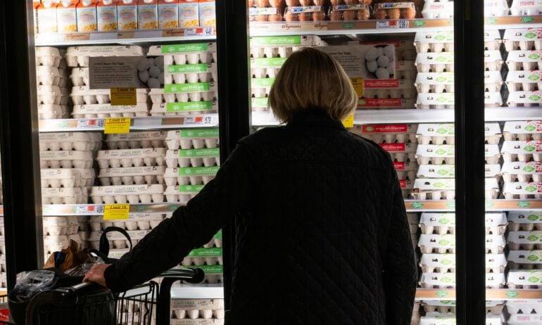 Shelf, Adult, Female