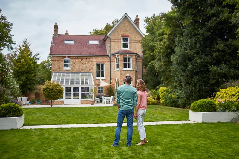 Grass, Plant, Lawn