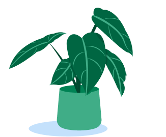 Plant Illustration