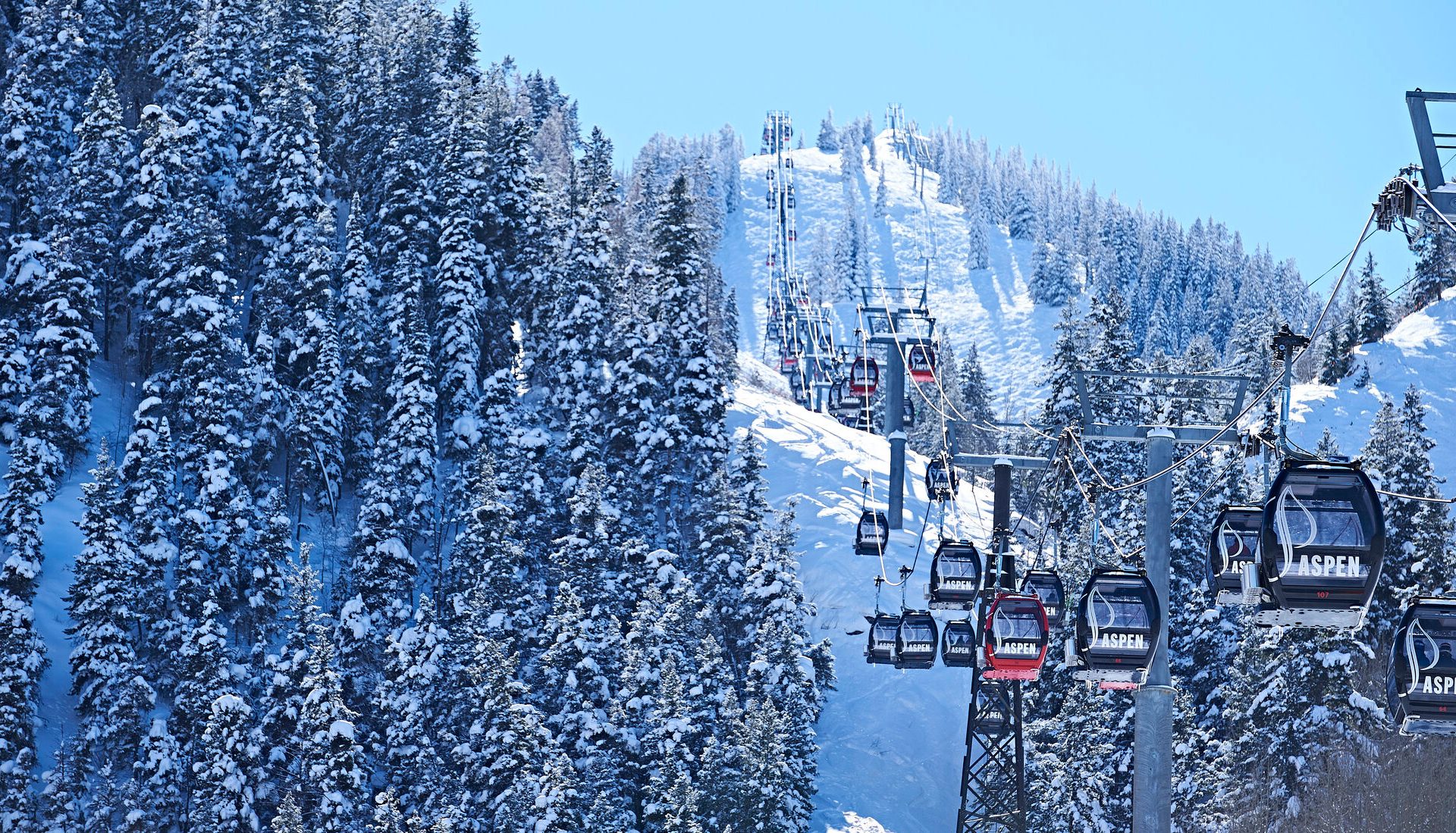 Nature, Outdoors, Plant