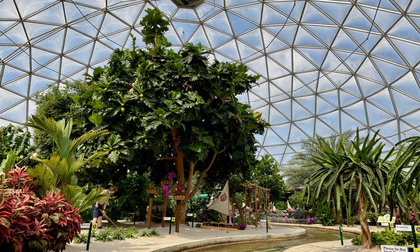 Garden, Nature, Outdoors