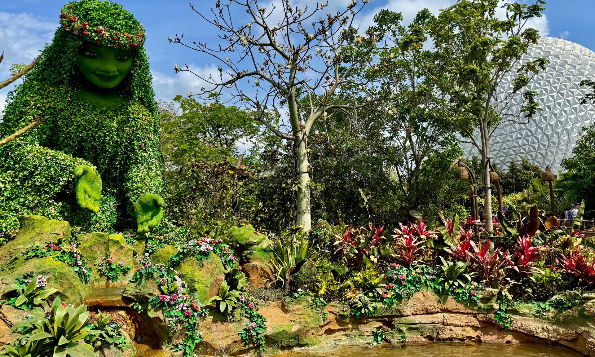 Garden, Nature, Outdoors