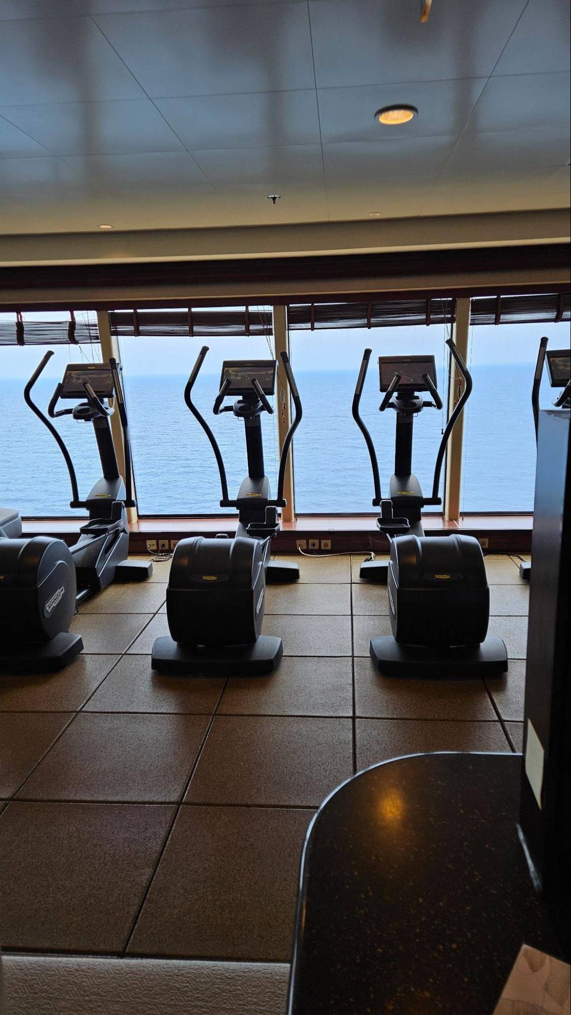 Fitness, Sport, Working Out