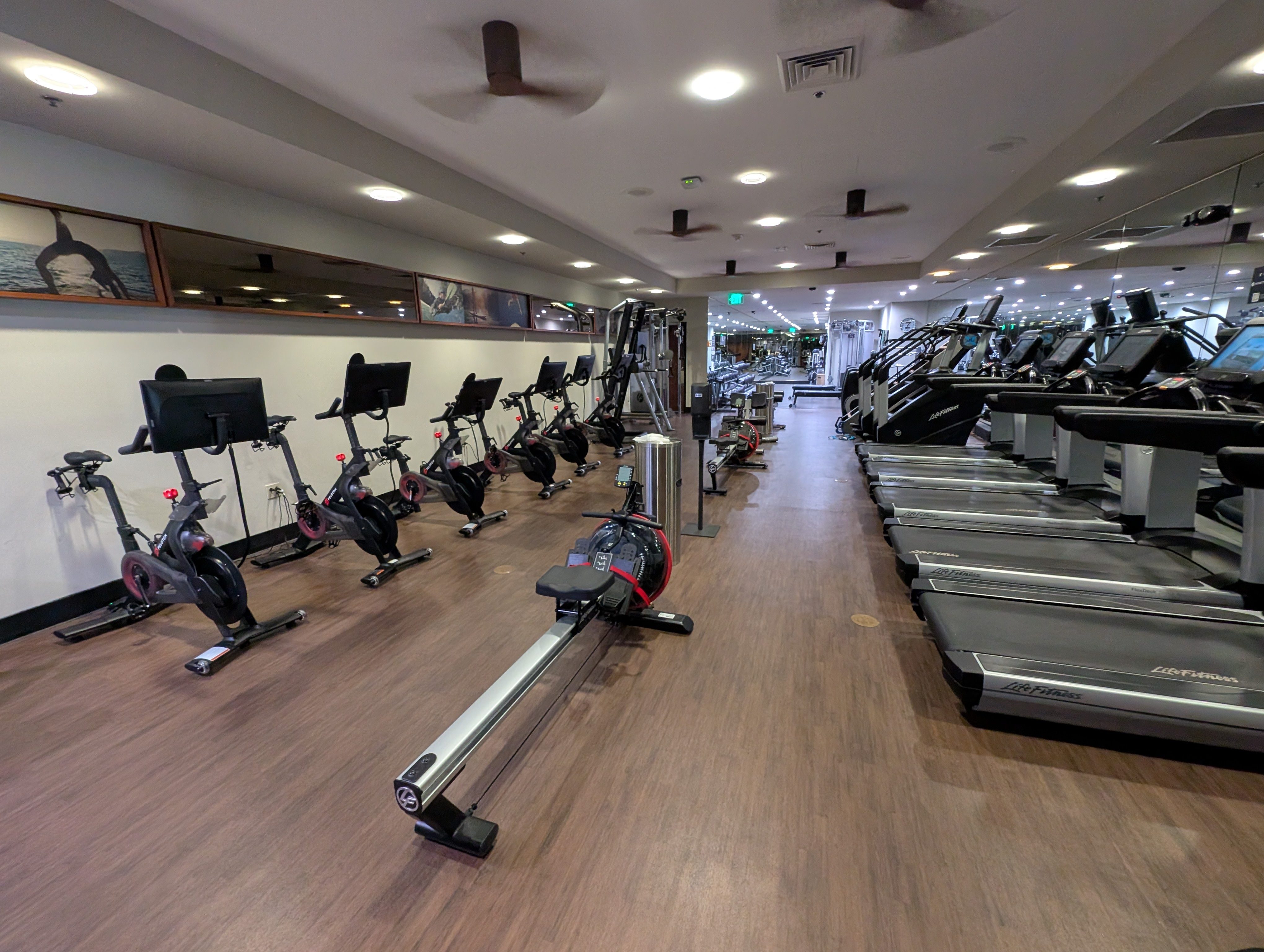 Working Out, Fitness, Sport