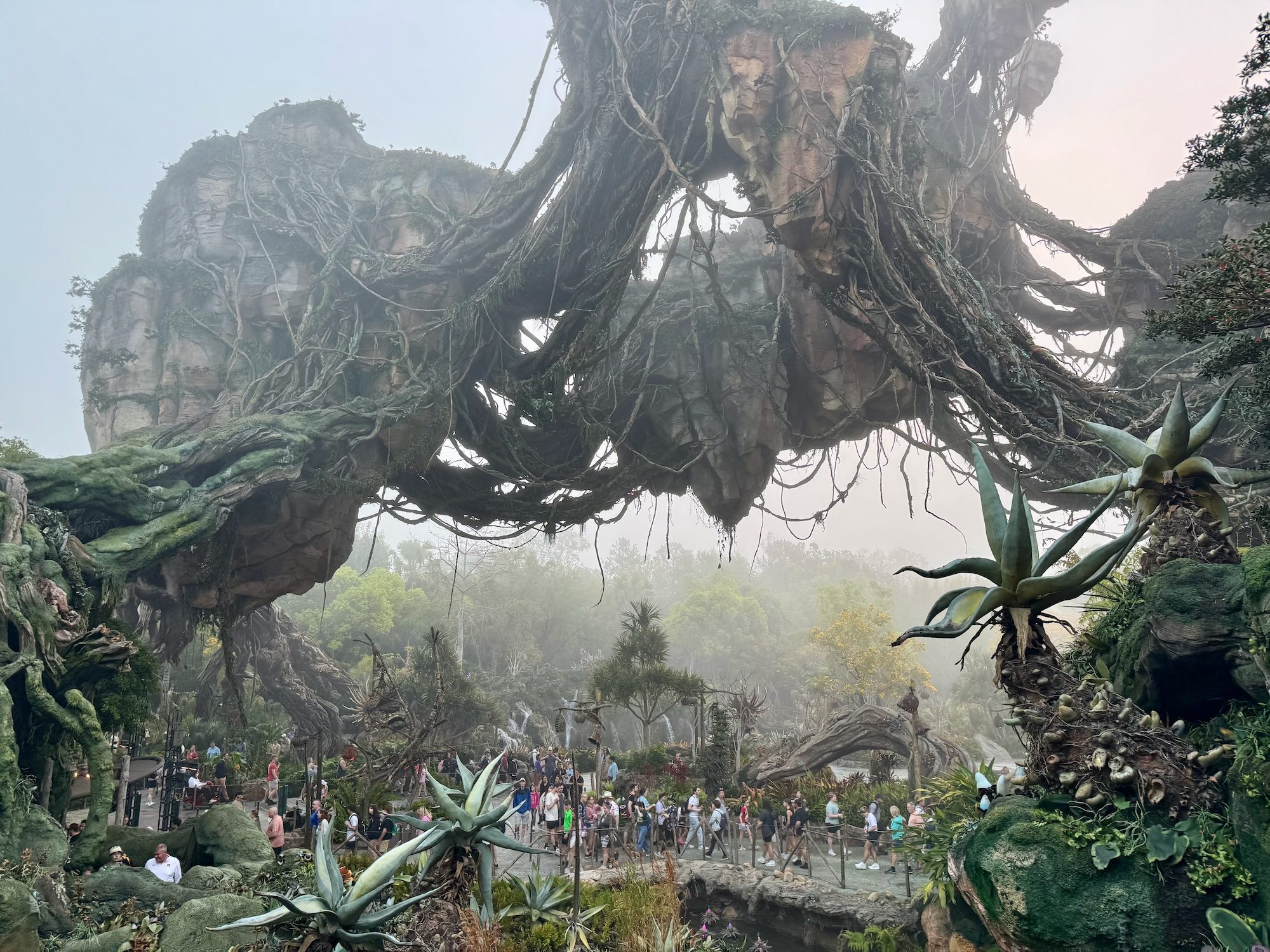 Jungle, Nature, Outdoors