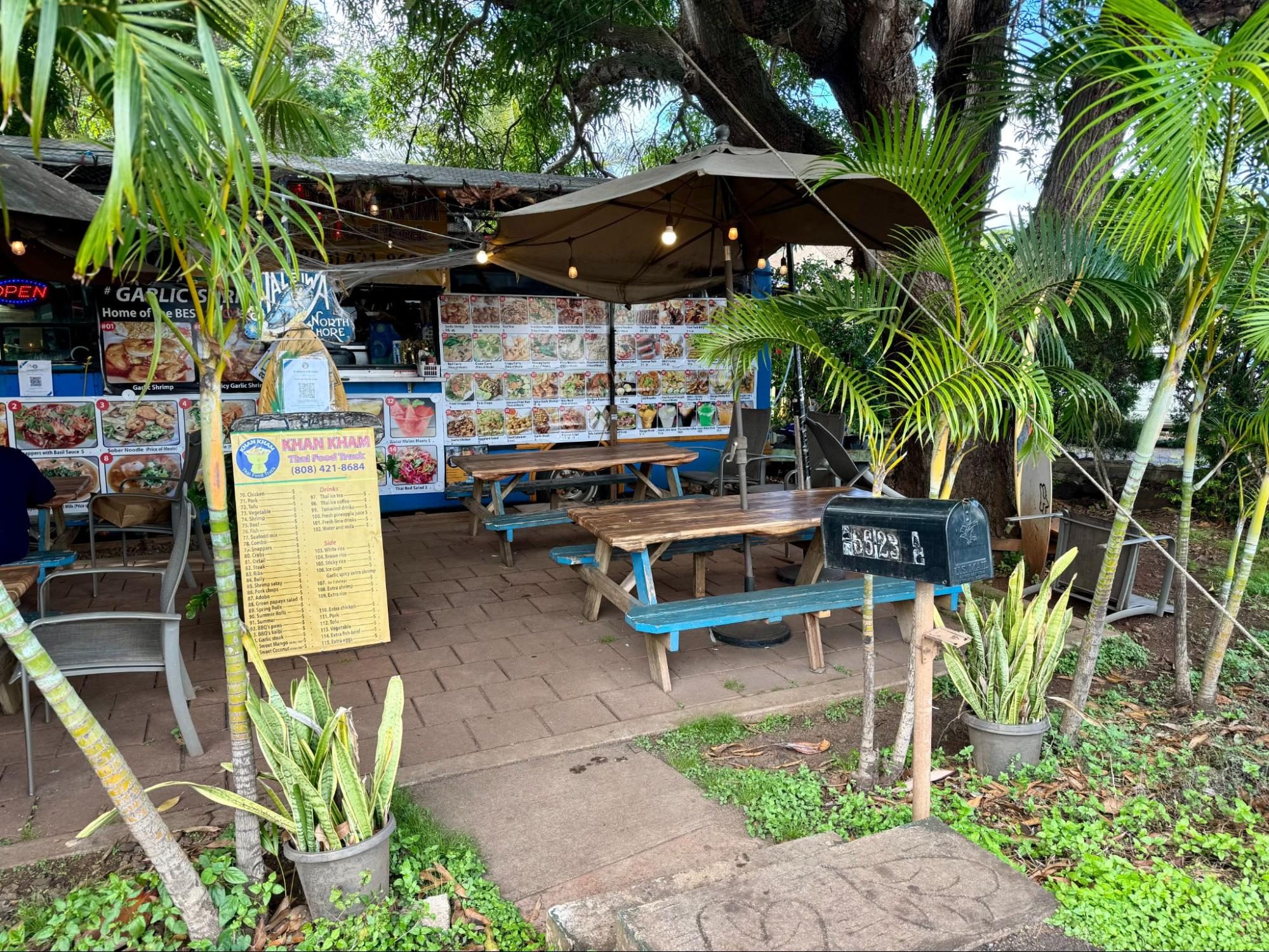 Summer, Person, Nature