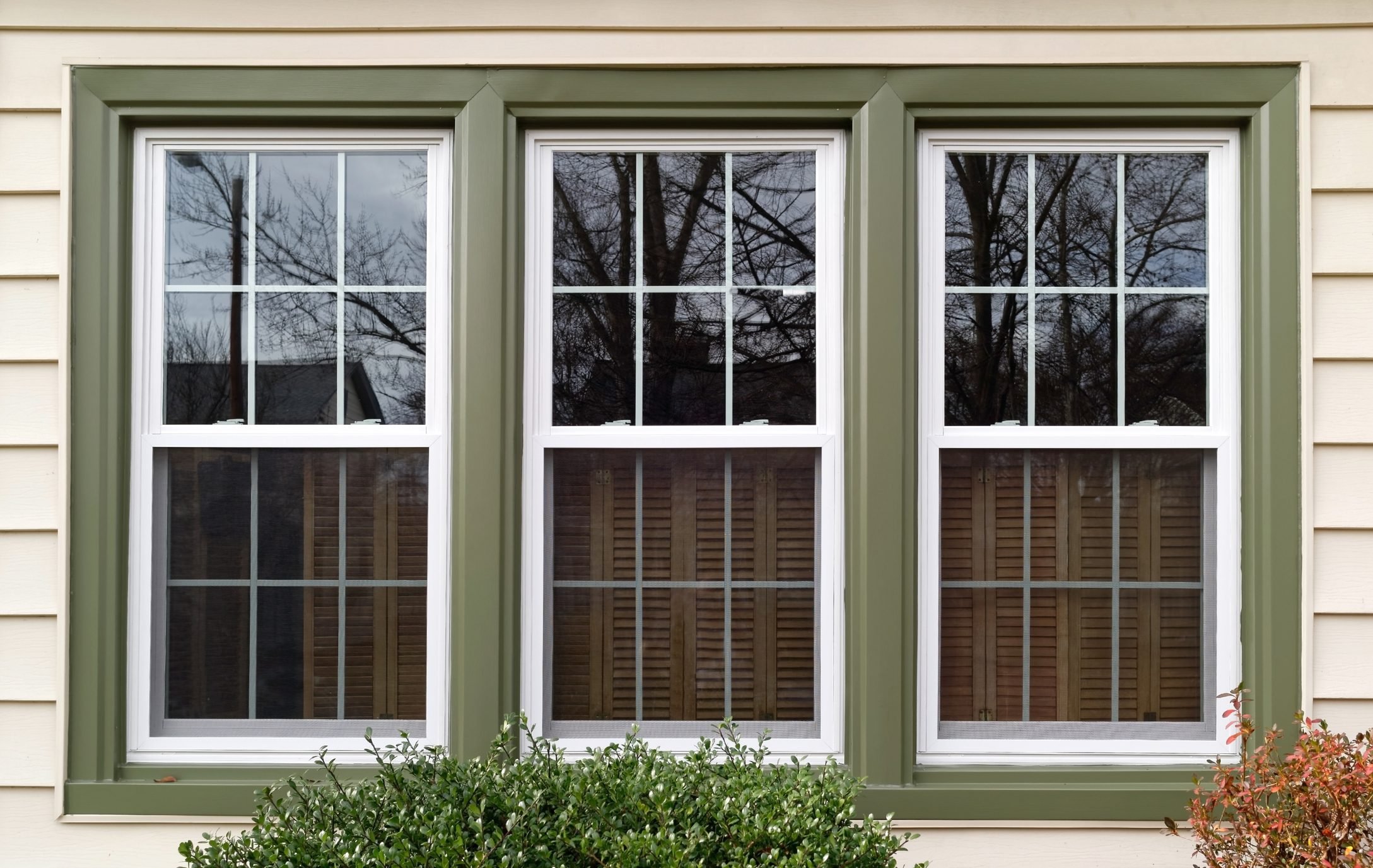 Single-hung windows