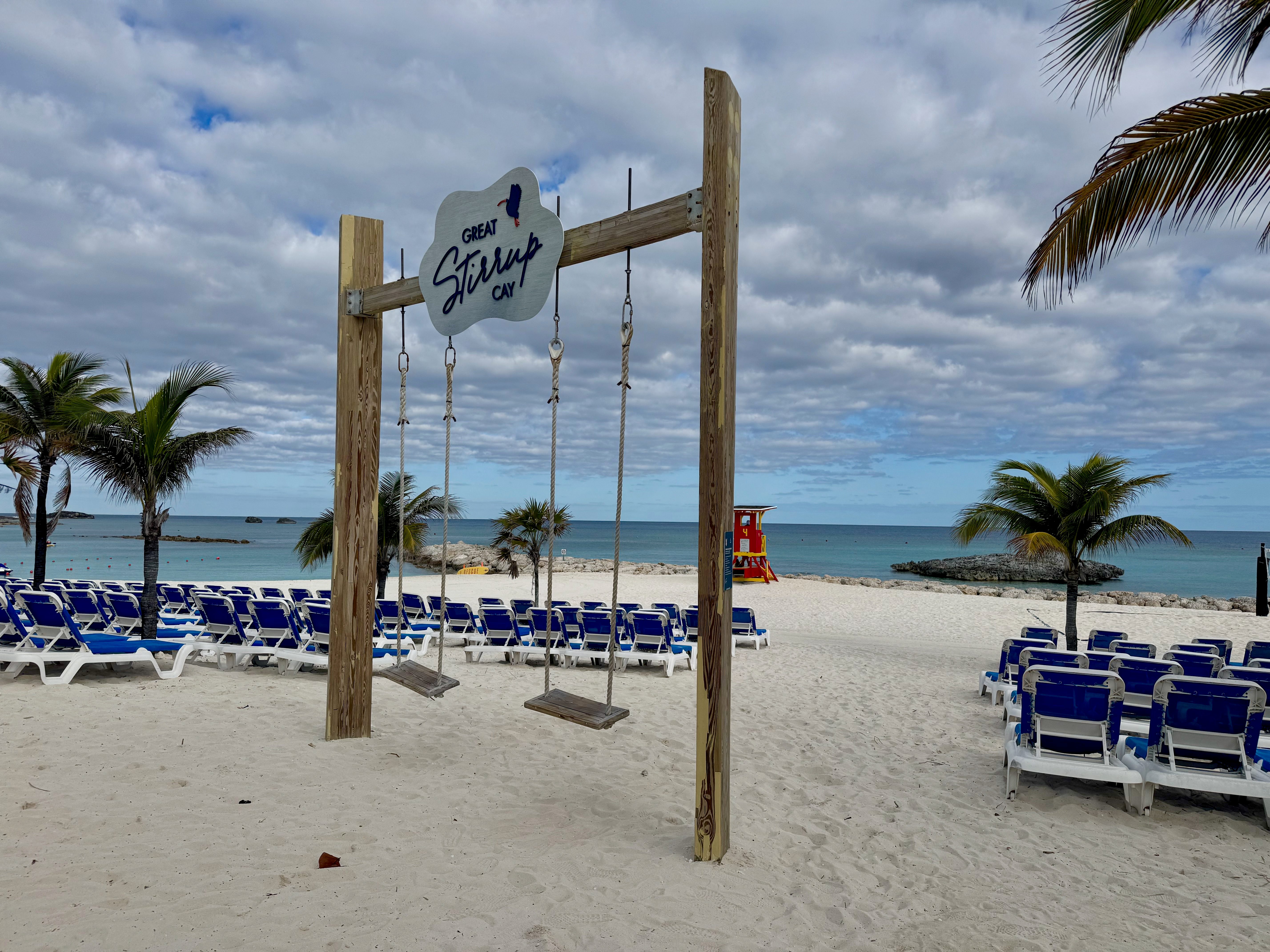 Summer, Palm Tree, Plant