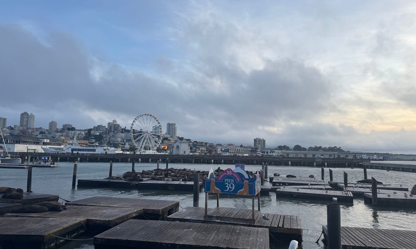 Water, Waterfront, Port