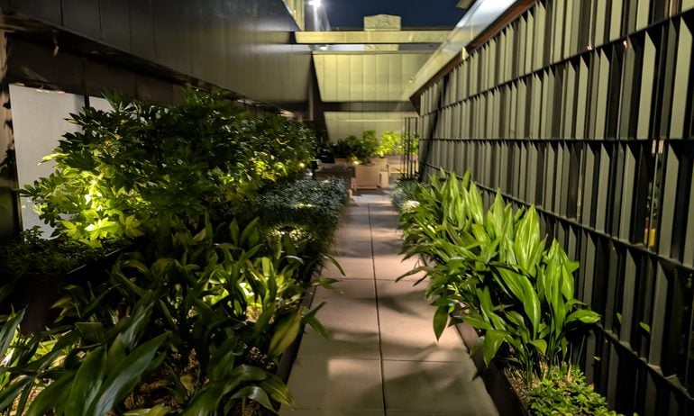 Path, Walkway, Garden