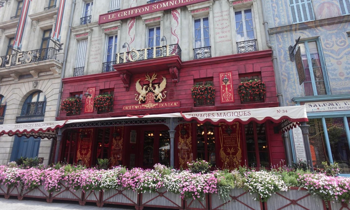 Plant, Potted Plant, City