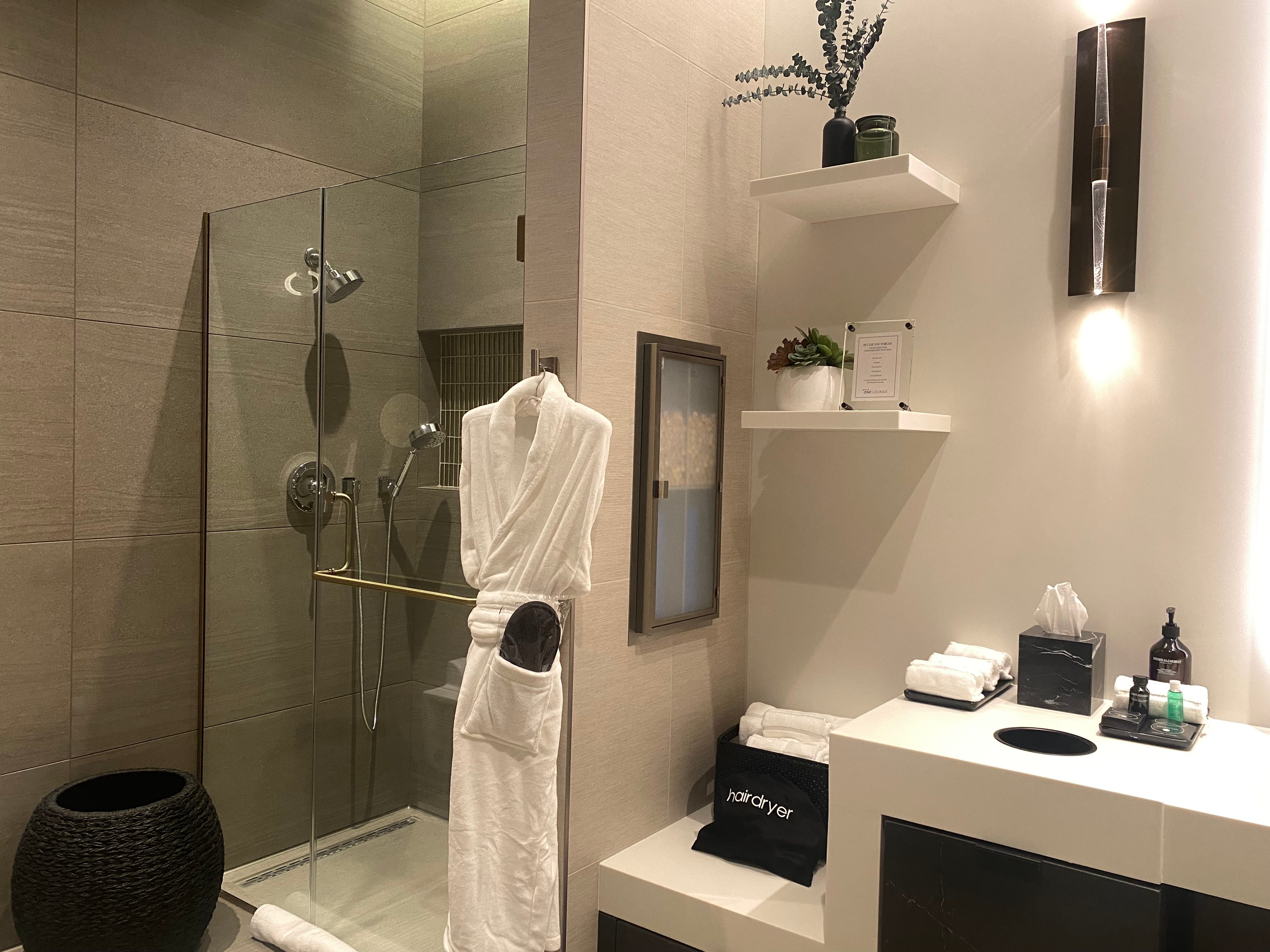 Indoors, Plant, Accessories