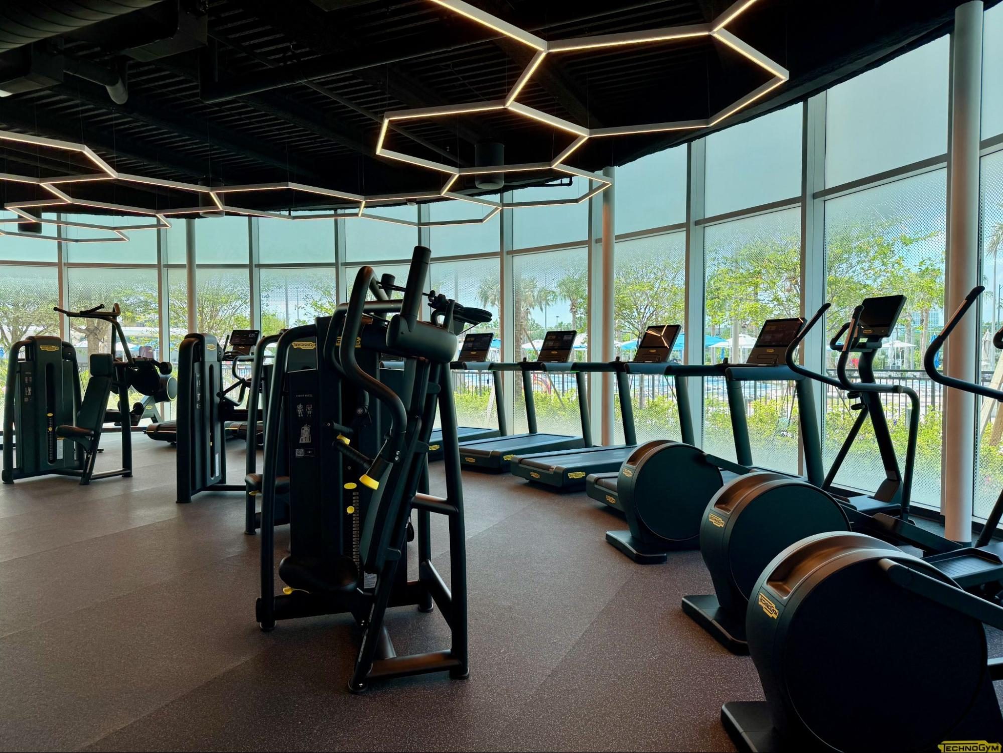 Fitness, Sport, Working Out