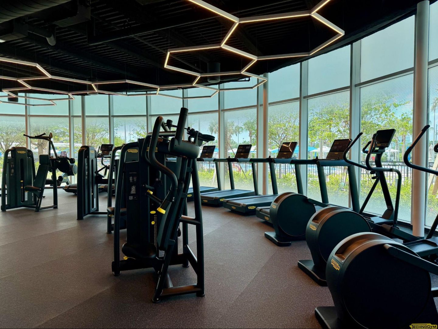 Fitness, Sport, Working Out