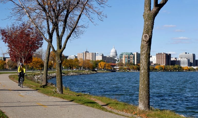 Plant, Tree, Tree Trunk