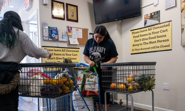 Adult, Female, Person