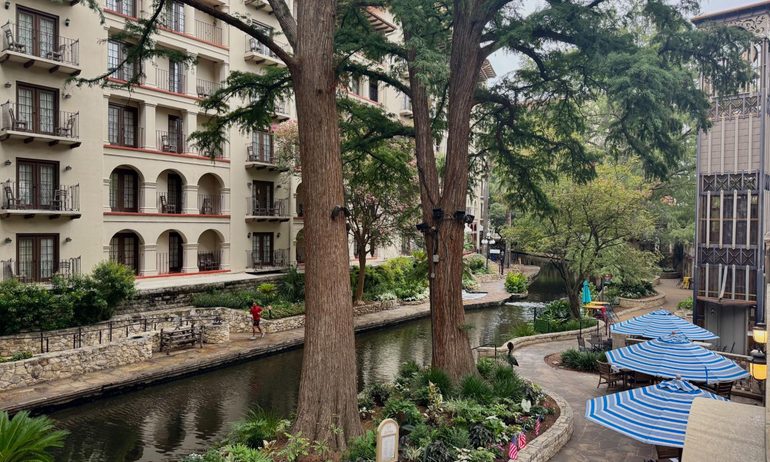 City, Nature, Outdoors