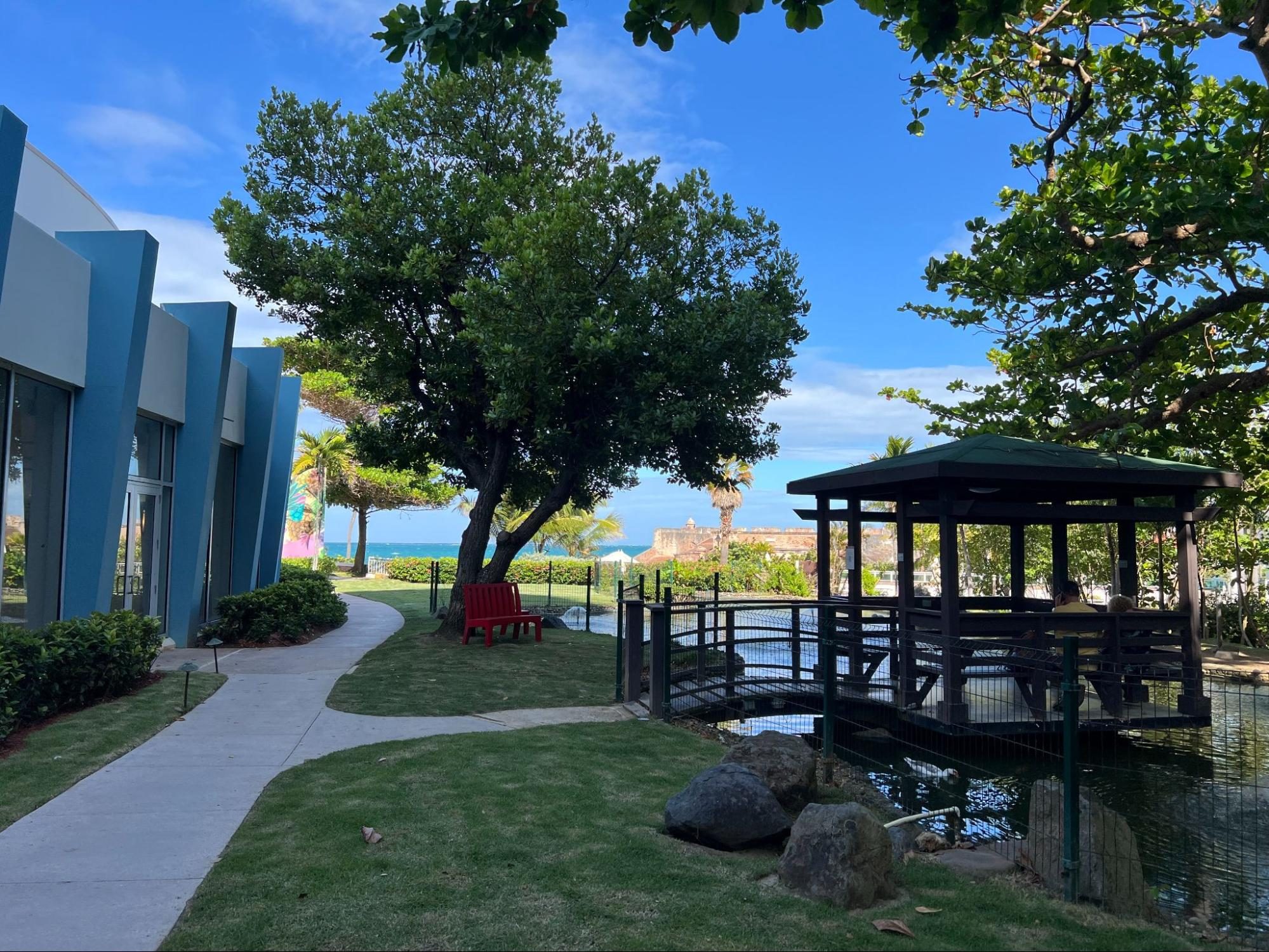 Nature, Outdoors, Scenery