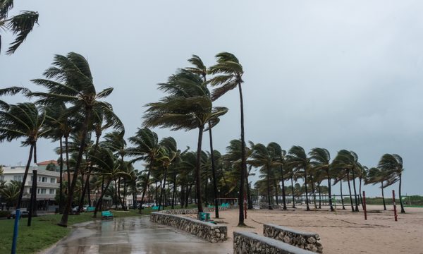 Summer, Arbour, Garden