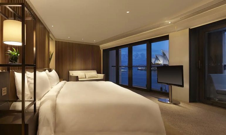 Indoors, Interior Design, Plant