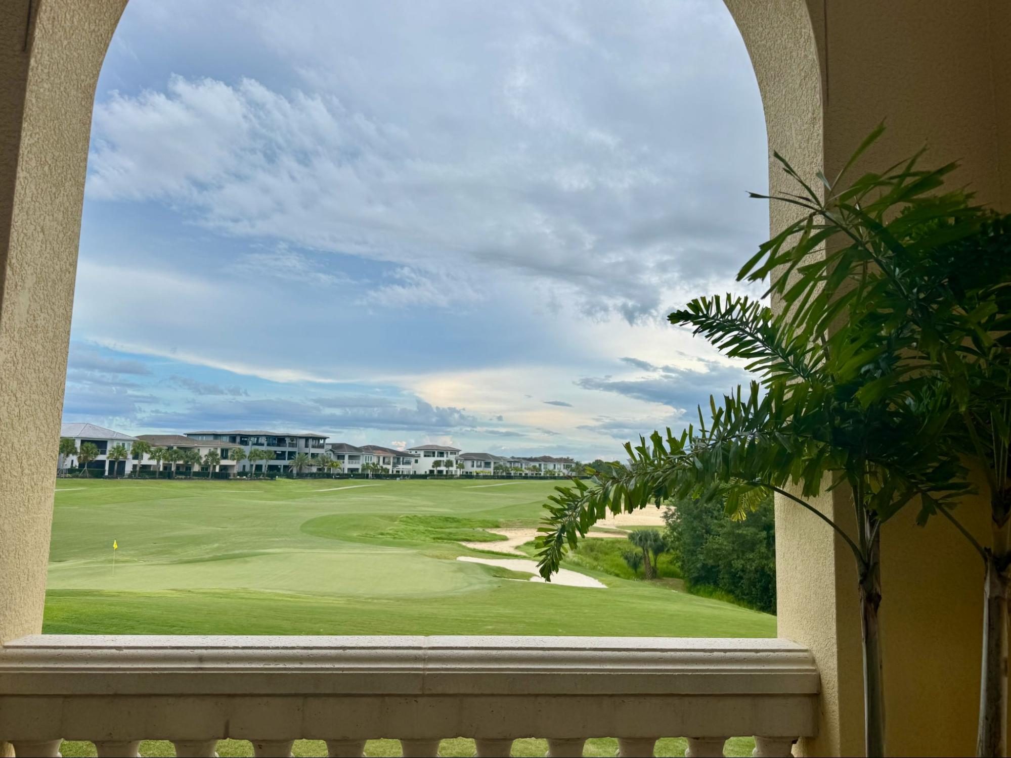 Field, Nature, Outdoors