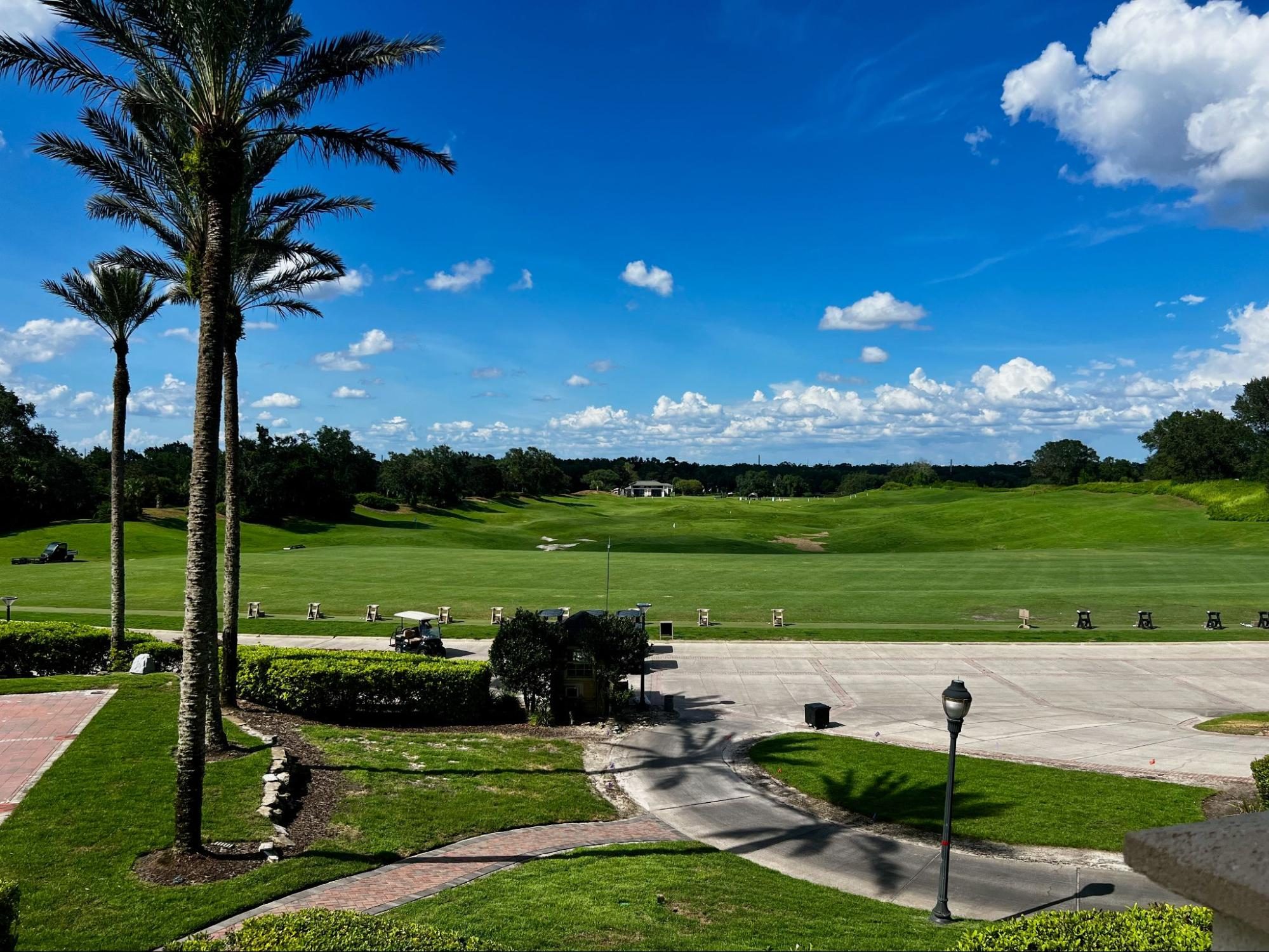 Field, Outdoors, Nature