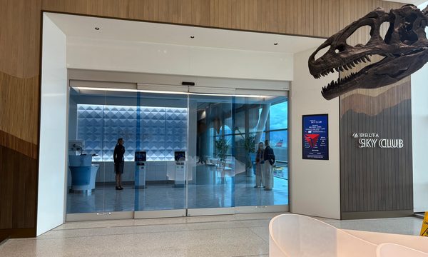 Indoors, Person, Plant