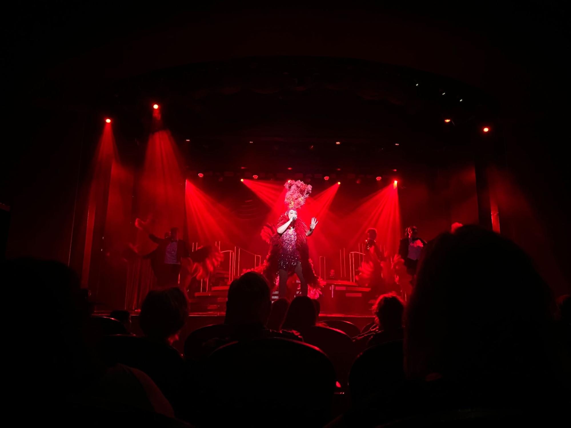 Concert, Crowd, Person