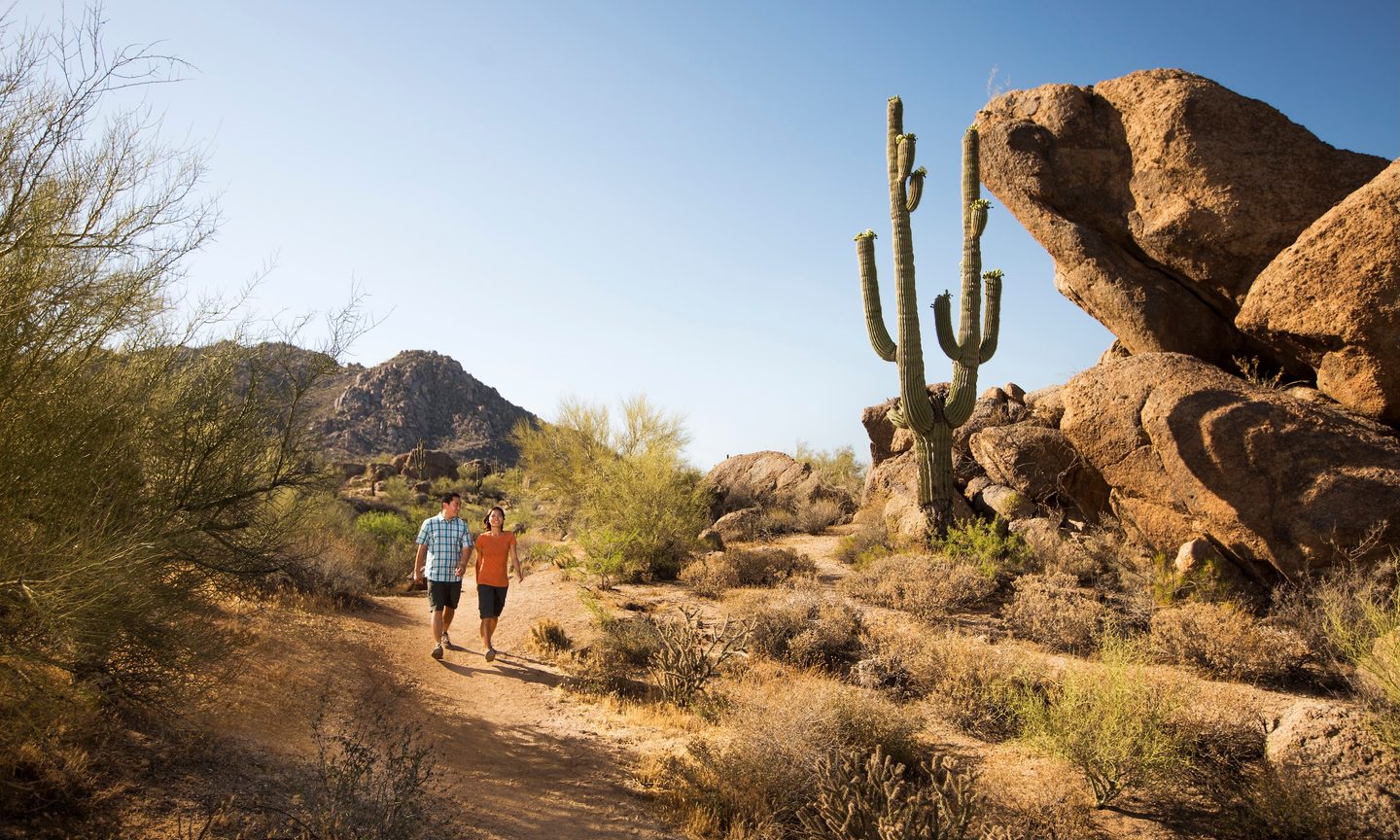 Nature, Outdoors, Wilderness