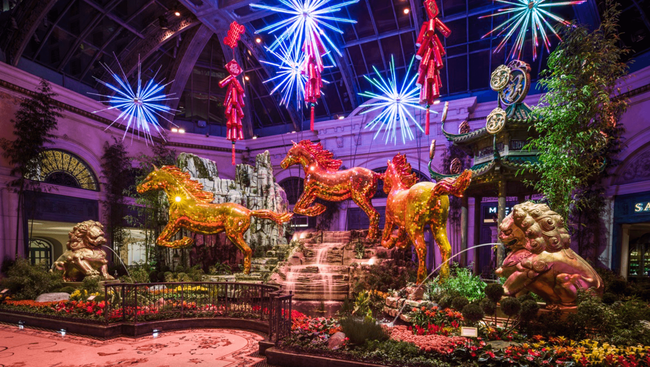 Lighting, Animal, Lion