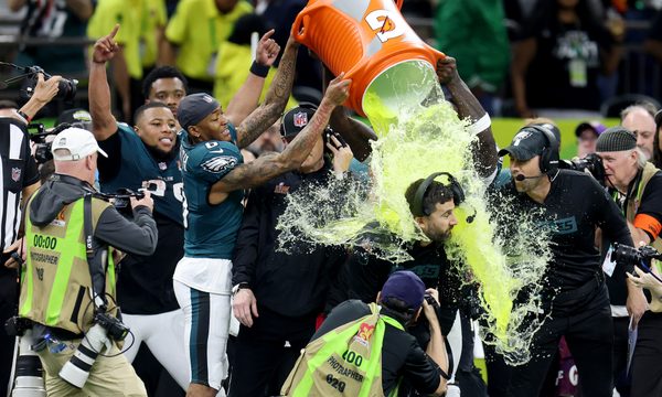 Celebrating, Person, Adult