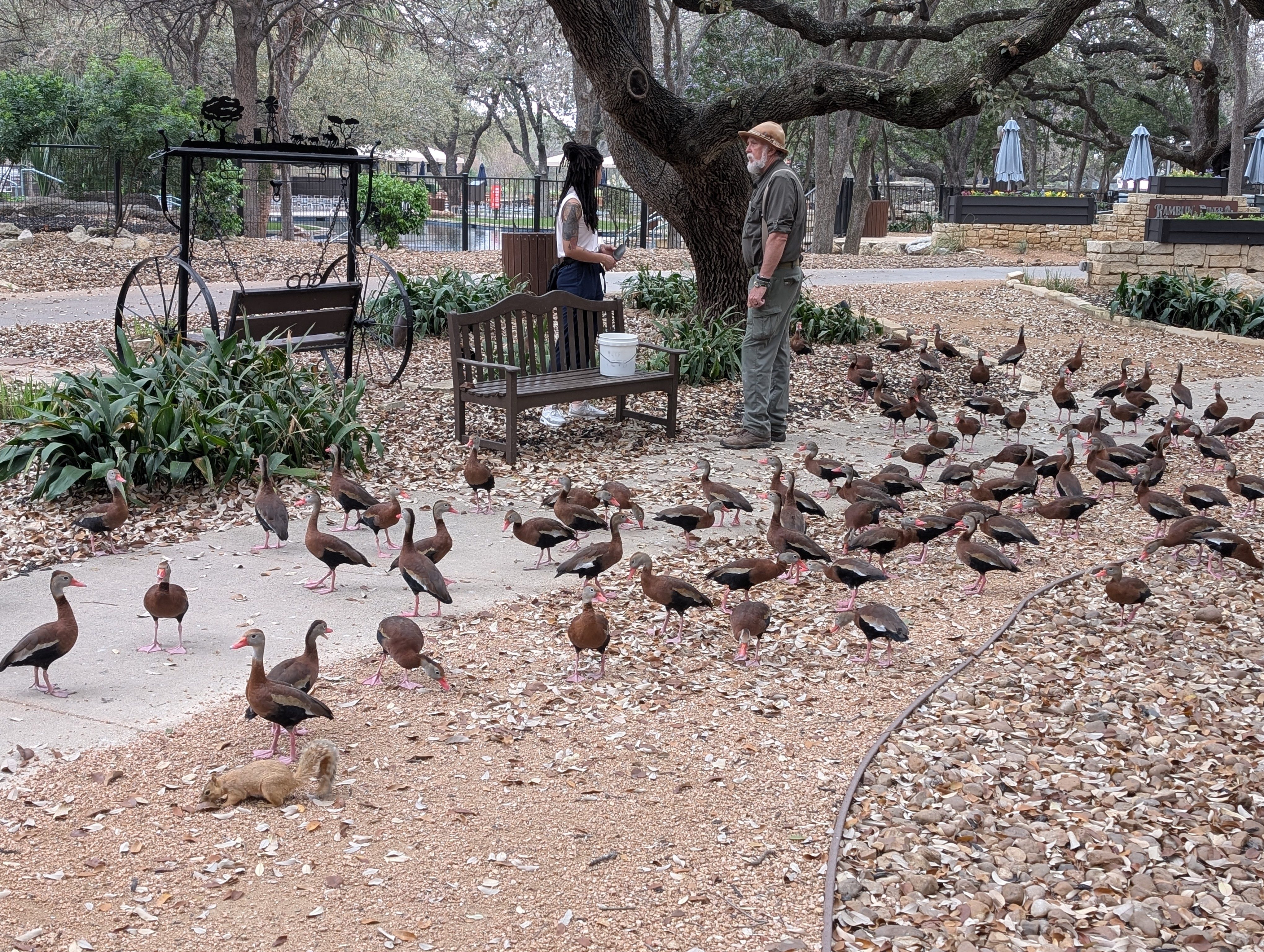 Grass, Nature, Outdoors